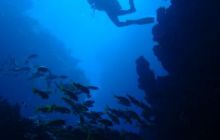 Safari St Johns - Kwiecień 2005