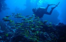 Safari St Johns - Kwiecień 2005