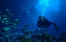 Safari St Johns - Kwiecień 2005