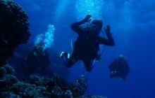 Safari St Johns - Kwiecień 2005