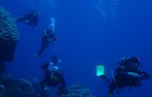 Safari St Johns - Kwiecień 2005