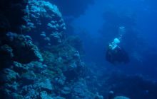 Safari St Johns - Kwiecień 2005