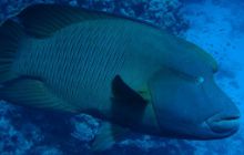 Safari St Johns - Kwiecień 2005