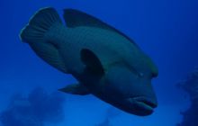 Safari St Johns - Kwiecień 2005