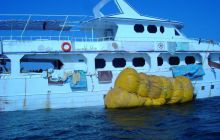 Safari St Johns - Kwiecień 2005