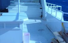 Safari St Johns - Kwiecień 2005