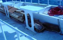 Safari St Johns - Kwiecień 2005