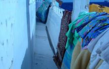 Safari St Johns - Kwiecień 2005