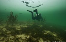 Zdjęcia z bazy nurkowej w Chmielnie