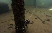 Zdjęcia z bazy nurkowej w Chmielnie