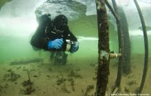 Zdjęcia z bazy nurkowej w Chmielnie