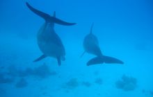 Safari Wrakowe - Wrzesień 2005