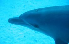 Safari Wrakowe - Wrzesień 2005