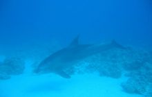 Safari Wrakowe - Wrzesień 2005