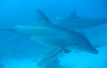 Safari Wrakowe - Wrzesień 2005