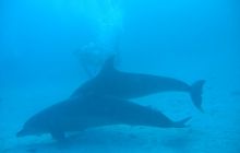 Safari Wrakowe - Wrzesień 2005