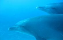 Safari Wrakowe - Wrzesień 2005