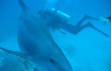 Safari Wrakowe - Wrzesień 2005