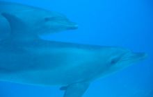 Safari Wrakowe - Wrzesień 2005