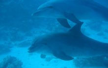 Safari Wrakowe - Wrzesień 2005