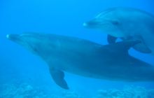 Safari Wrakowe - Wrzesień 2005