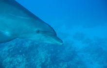 Safari Wrakowe - Wrzesień 2005