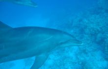 Safari Wrakowe - Wrzesień 2005