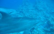 Safari Wrakowe - Wrzesień 2005