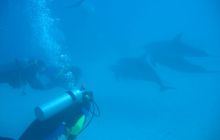 Safari Wrakowe - Wrzesień 2005