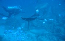 Safari Wrakowe - Wrzesień 2005