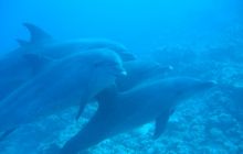 Safari Wrakowe - Wrzesień 2005