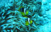 Safari Wrakowe - Wrzesień 2005