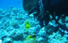 Safari Wrakowe - Wrzesień 2005