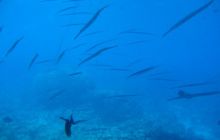 Safari Wrakowe - Wrzesień 2005