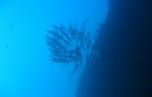 Safari Wrakowe - Wrzesień 2005