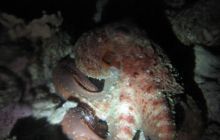 Safari Wrakowe - Wrzesień 2005