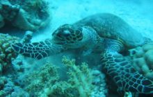 Safari Wrakowe - Wrzesień 2005