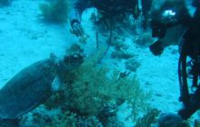 Safari Wrakowe - Wrzesień 2005