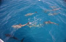 Safari Wrakowe - Wrzesień 2005