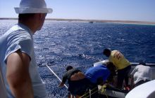 Safari Wrakowe - Wrzesień 2005