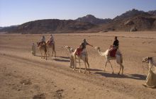 Safari Wrakowe - Wrzesień 2005