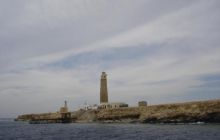 Safari Brothers Islands - Kwiecień 2006