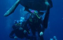 Safari Brothers Islands - Kwiecień 2006