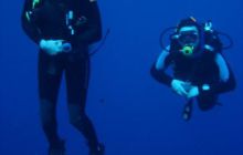 Safari St Johns - Maj 2006