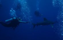 Safari St Johns - Maj 2006