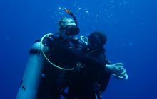 Safari St Johns - Maj 2006