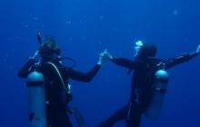 Safari St Johns - Maj 2006