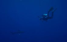 Safari St Johns - Maj 2006