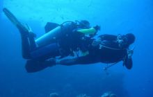 Safari St Johns - Maj 2006