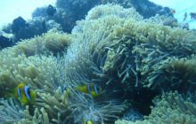 Safari St Johns - Maj 2006